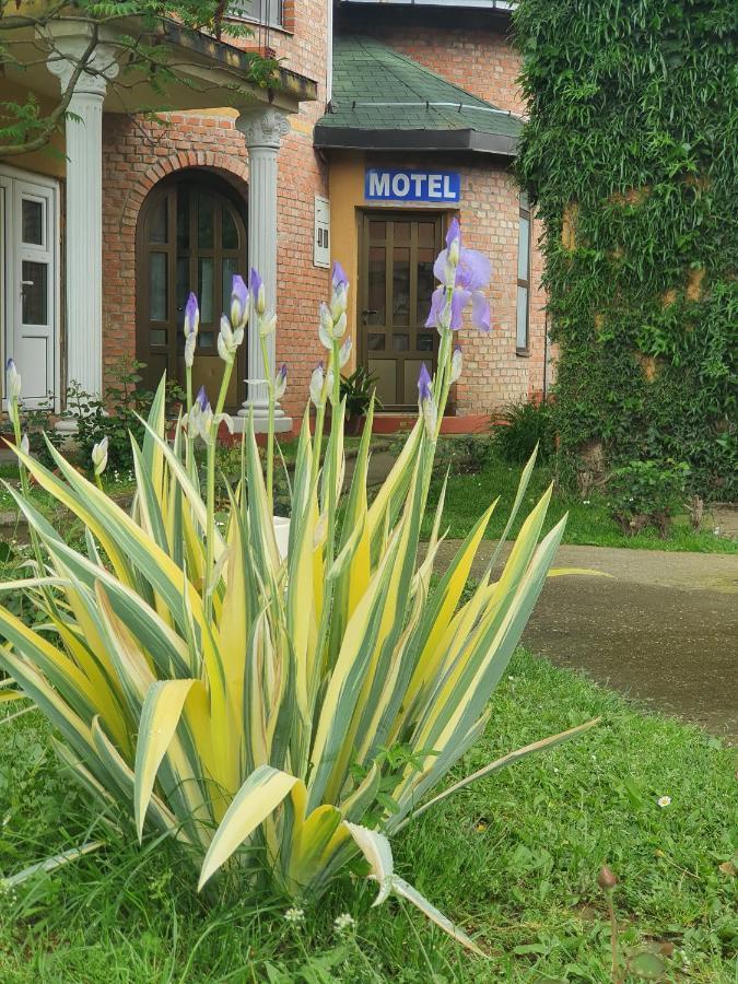Motel Zoka Dvorovi Экстерьер фото